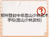 郑州登封中岳嵩山少林武术学校(嵩山少林武校)