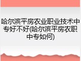 哈尔滨平房农业职业技术中专好不好(哈尔滨平房农职中专如何)