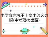 中学念完考不上高中怎么办呀(中考落榜出路)