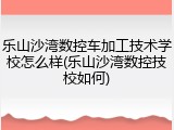 乐山沙湾数控车加工技术学校怎么样(乐山沙湾数控技校如何)