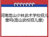 河南嵩山少林武术学校招儿童吗(嵩山武校招儿童)