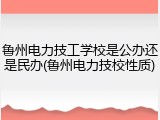 鲁州电力技工学校是公办还是民办(鲁州电力技校性质)