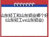 山东轻工和山东铝业哪个好(山东轻工vs山东铝业)