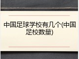 中国足球学校有几个(中国足校数量)