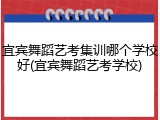 宜宾舞蹈艺考集训哪个学校好(宜宾舞蹈艺考学校)