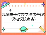 武汉电子仪表学校宿舍(武汉电仪校宿舍)
