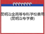 昆明冶金高等专科学校费用(昆明冶专学费)