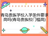 青岛贵族学校入学条件要求高吗(青岛贵族校门槛高)