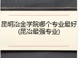 昆明冶金学院哪个专业最好(昆冶最强专业)