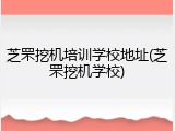 芝罘挖机培训学校地址(芝罘挖机学校)