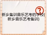 新乡集训音乐艺考的学校(新乡音乐艺考集训)
