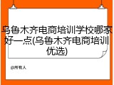 乌鲁木齐电商培训学校哪家好一点(乌鲁木齐电商培训优选)