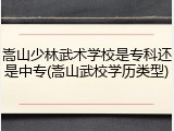 嵩山少林武术学校是专科还是中专(嵩山武校学历类型)