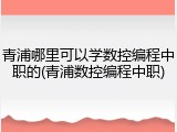青浦哪里可以学数控编程中职的(青浦数控编程中职)