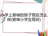 小学上寄宿的孩子现在怎么样(寄宿小学生现状)