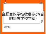 合肥贵族学校收费多少(合肥贵族学校学费)