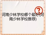 河南少林学校哪个最好(河南少林学校推荐)