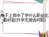 考不上高中了学什么职业比较好呢(升学无望选何职)