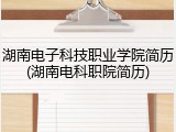 湖南电子科技职业学院简历(湖南电科职院简历)