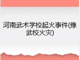 河南武术学校起火事件(豫武校火灾)