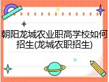 朝阳龙城农业职高学校如何招生(龙城农职招生)