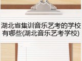 湖北省集训音乐艺考的学校有哪些(湖北音乐艺考学校)