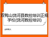 双鸭山饶河县数控培训正规学校(饶河数控培训)