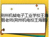 荆州机械电子工业学校王海鹏老师(荆州机电校王海鹏)