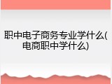 职中电子商务专业学什么(电商职中学什么)