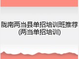 陇南两当县单招培训班推荐(两当单招培训)
