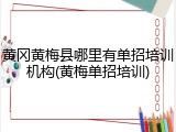黄冈黄梅县哪里有单招培训机构(黄梅单招培训)