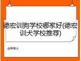 德宏训狗学校哪家好(德宏训犬学校推荐)