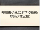 郑州市少林武术学校新校(郑州少林武校)