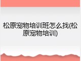 松原宠物培训班怎么找(松原宠物培训)