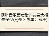 潮州音乐艺考集训花费大概是多少(潮州艺考集训费用)