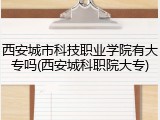 西安城市科技职业学院有大专吗(西安城科职院大专)