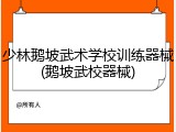 少林鹅坡武术学校训练器械(鹅坡武校器械)