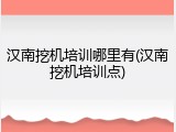 汉南挖机培训哪里有(汉南挖机培训点)