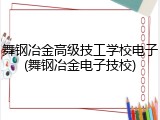 舞钢冶金高级技工学校电子(舞钢冶金电子技校)