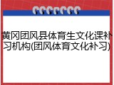 黄冈团风县体育生文化课补习机构(团风体育文化补习)