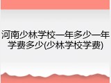 河南少林学校一年多少一年学费多少(少林学校学费)