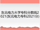 东北电力大学专科分数线2021(东北电力专科2021分)