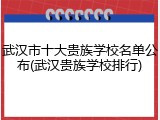 武汉市十大贵族学校名单公布(武汉贵族学校排行)