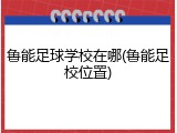 鲁能足球学校在哪(鲁能足校位置)