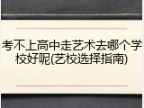 考不上高中走艺术去哪个学校好呢(艺校选择指南)