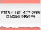 宜昌考不上高中的学校有哪些呢(宜昌落榜高中)