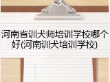 河南省训犬师培训学校哪个好(河南训犬培训学校)