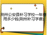 荆州公安县补习学校一年费用多少钱(荆州补习学费)