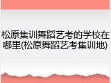 松原集训舞蹈艺考的学校在哪里(松原舞蹈艺考集训地)