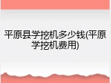 平原县学挖机多少钱(平原学挖机费用)